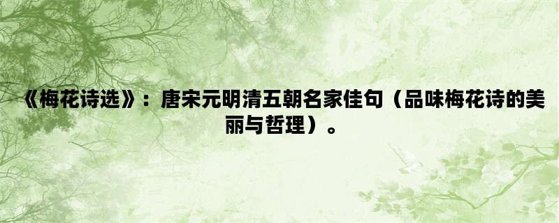 《梅花诗选》：唐宋元明