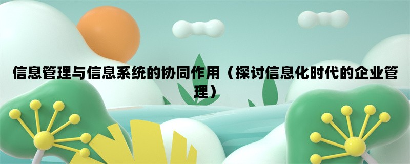 信息管理与信息系统的协同作用（探讨信息化时代的企业管理）