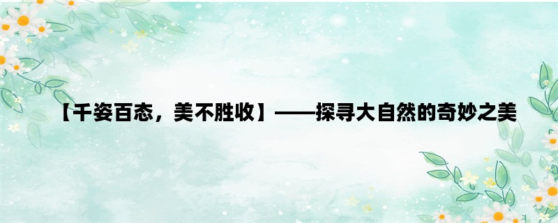 【千姿百态，美不胜收】——探寻大自然的奇妙之美