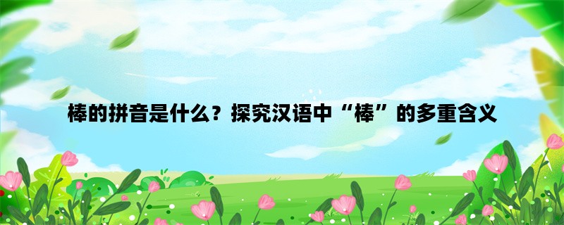 棒的拼音是什么？探究汉