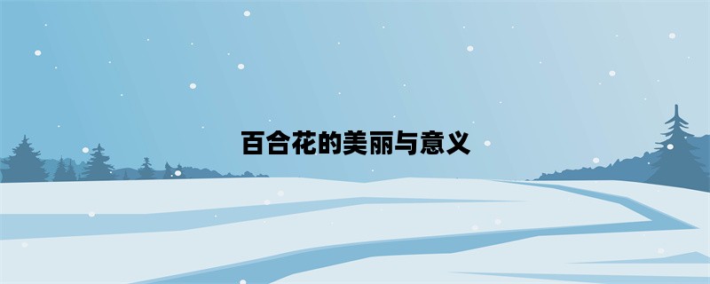 百合花的美丽与意义
