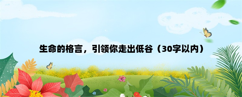 生命的格言，引领你走出低谷（30字以内）