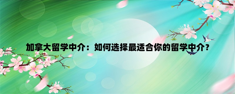 加拿大留学中介：如何选择最适合你的留学中介？