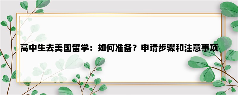 高中生去美国留学：如何准备？申请步骤和注意事项
