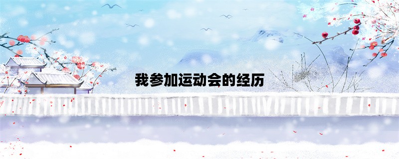 我参加运动会的经历