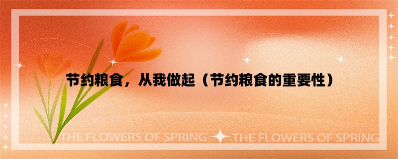 节约粮食，从我做起（节约粮食的重要性）