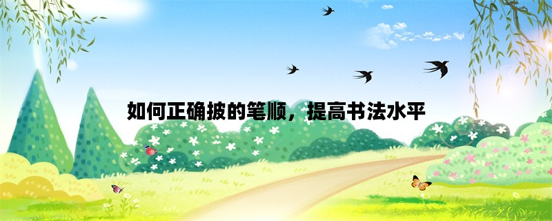 如何正确披的笔顺，提高