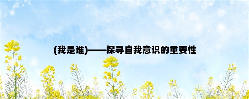 (我是谁)——探寻自我意