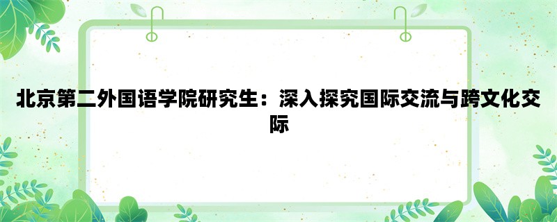 北京第二外国语学院研究生：深入探究国际交流与跨文化交际