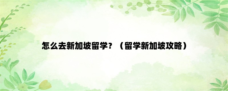 怎么去新加坡留学？（留