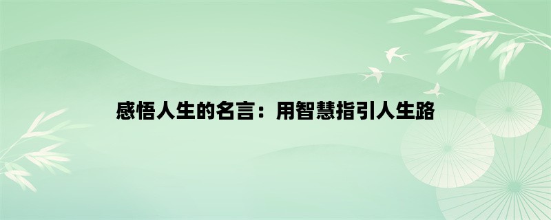 感悟人生的名言：用智慧