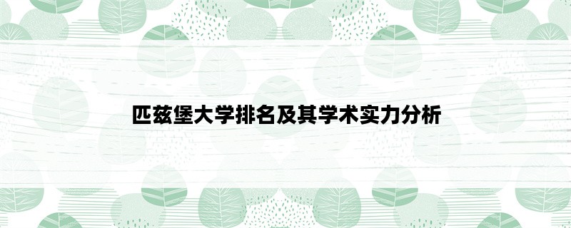 匹兹堡大学排名及其学术实力分析