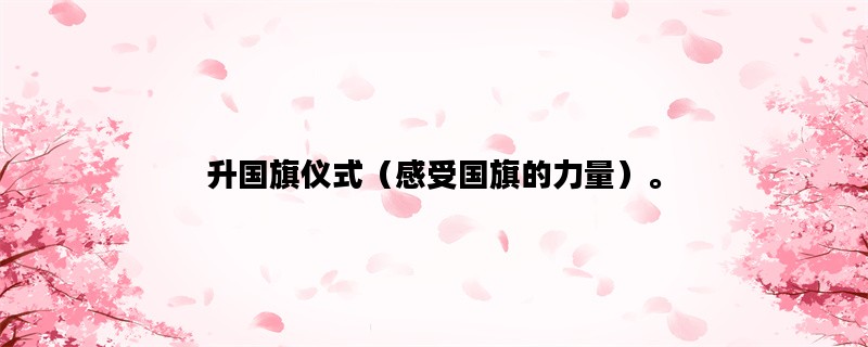 升国旗仪式（感受国旗的