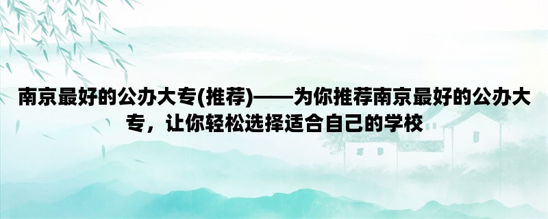 南京最好的公办大专(推