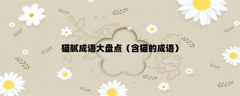 猫腻成语大盘点（含猫的