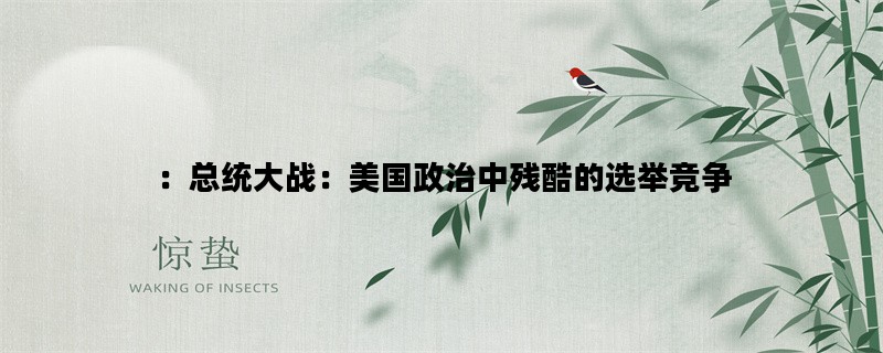 ：总统大战：美国政治中