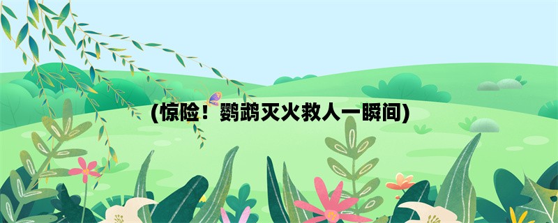 (惊险！鹦鹉灭火救人一