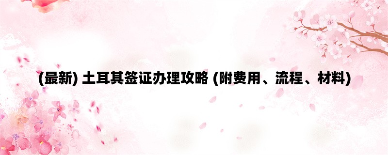 (最新) 土耳其签证办理攻略 (附费用、流程、材料)