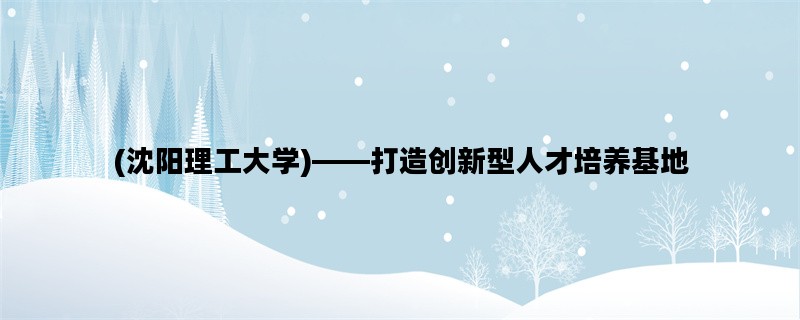 (沈阳理工大学)——打造