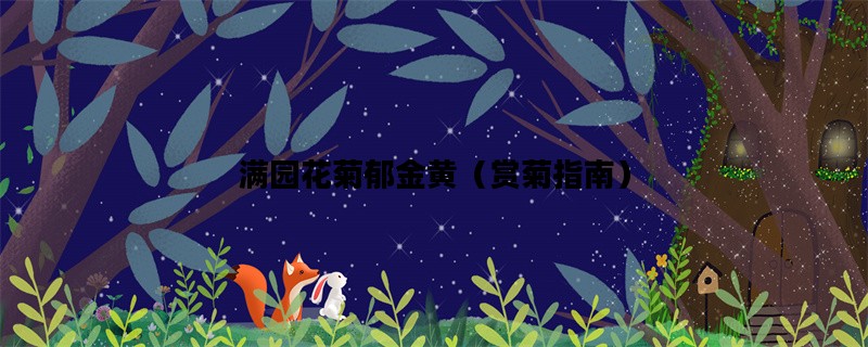 满园花菊郁金黄（赏菊指