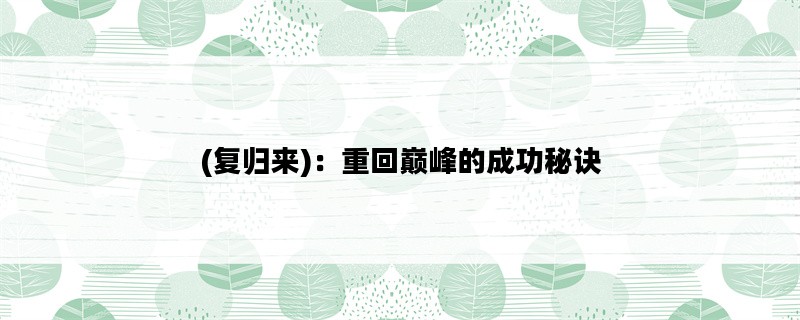 (复归来)：重回巅峰的成功秘诀