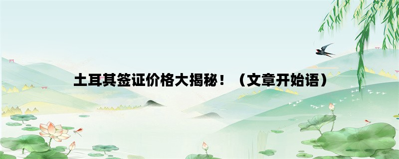 土耳其签证价格大揭秘！