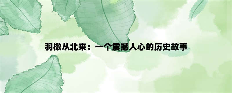羽檄从北来：一个震撼人心的历史故事