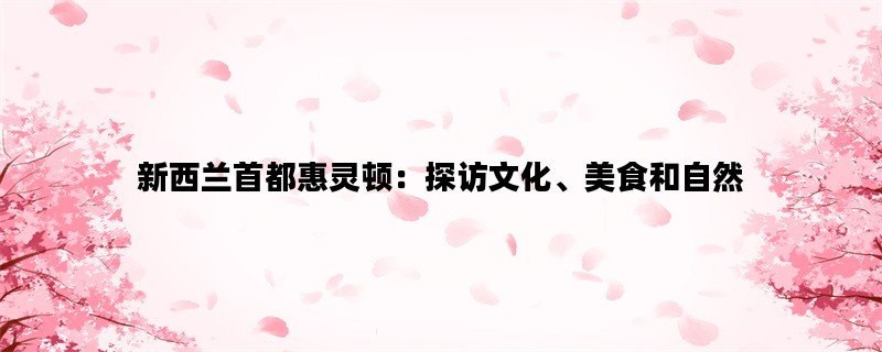 新西兰首都惠灵顿：探访文化、美食和自然
