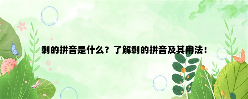 剩的拼音是什么？了解剩的拼音及其用法！