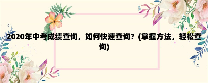 2020年中考成绩查询，如
