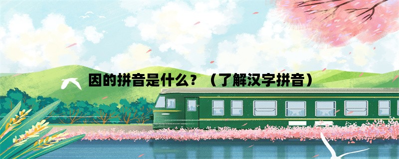 因的拼音是什么？（了解汉字拼音）