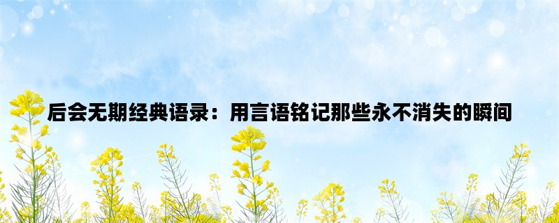 后会无期经典语录：用言
