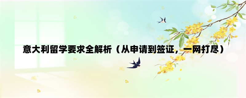 意大利留学要求全解析（从申请到签证，一网打尽）