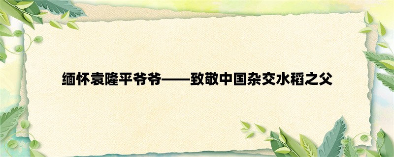 缅怀袁隆平爷爷——致敬中国杂交水稻之父