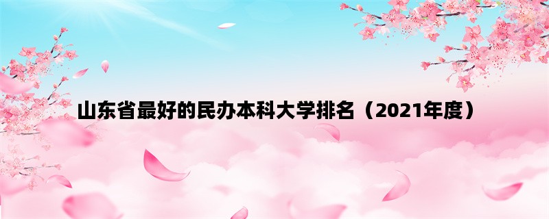 山东省最好的民办本科大