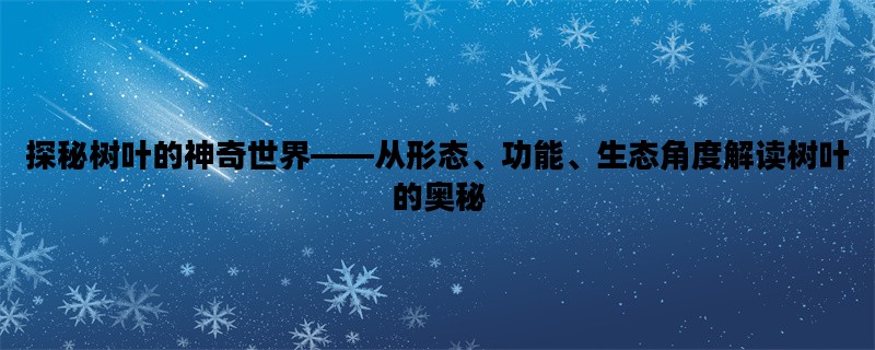 探秘树叶的神奇世界——从形态、功能、生态角度解读树叶的奥秘