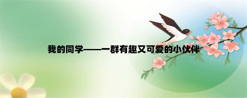 我的同学——一群有趣又可爱的小伙伴