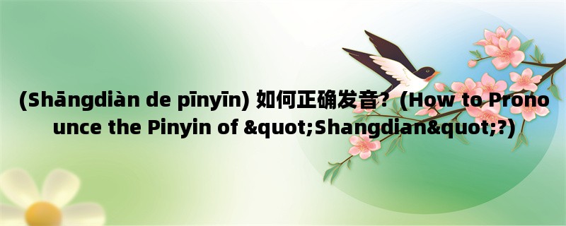 (Shāngdiàn de pīnyīn) 如何