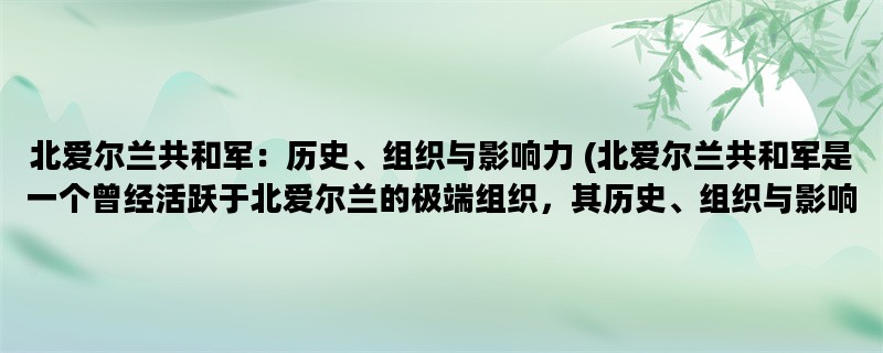 北爱尔兰共和军：历史、组织与影响力 (北爱尔兰共和军是一个曾经活跃于北爱