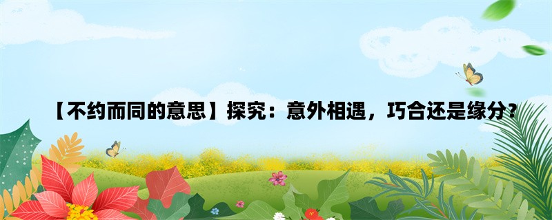 【不约而同的意思】探究：意外相遇，巧合还是缘分？