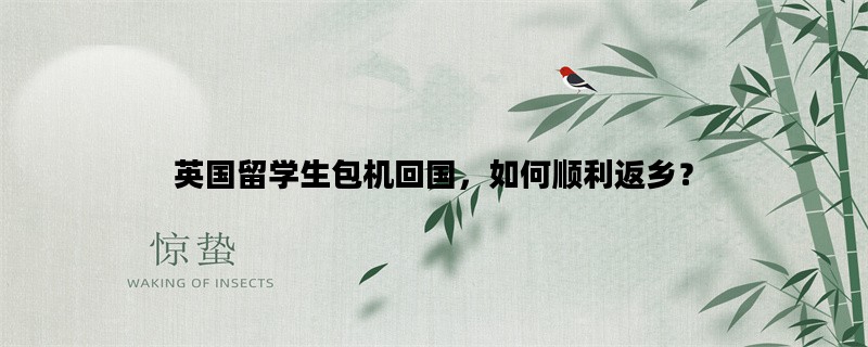 英国留学生包机回国，如何顺利返乡？
