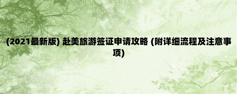 (2021最新版) 赴美旅游签证申请攻略 (附详细流程及注意事项)