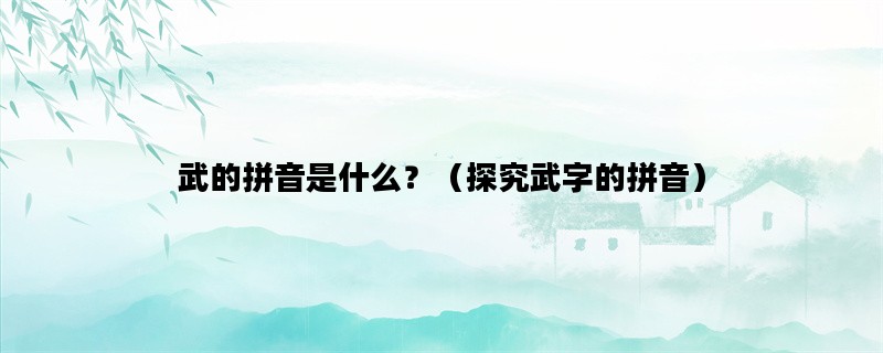 武的拼音是什么？（探究