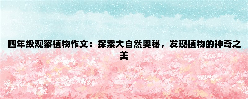 四年级观察植物作文：探