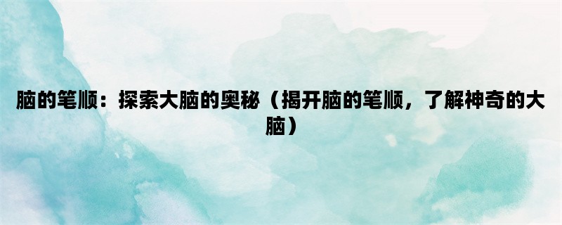 脑的笔顺：探索大脑的奥