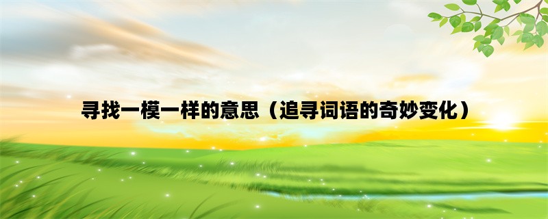 寻找一模一样的意思（追