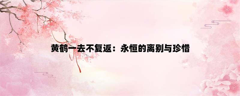 黄鹤一去不复返：永恒的