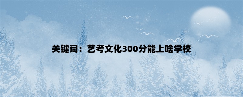 关键词：艺考文化300分能