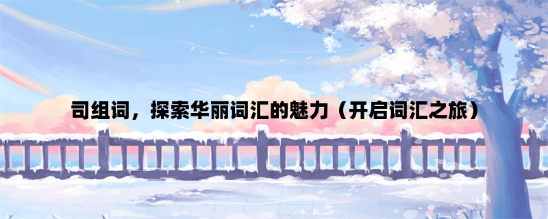 司组词，探索华丽词汇的