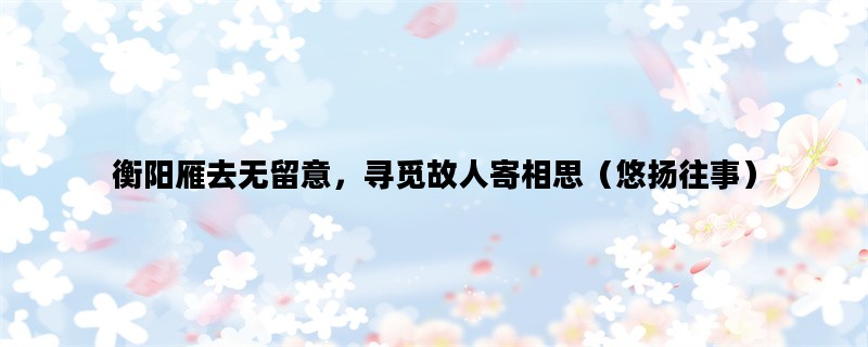 衡阳雁去无留意，寻觅故人寄相思（悠扬往事）
